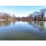 Zdjęcia użytkowników POCO X4 Pro Zdjęcia użytkowników POCO X4 Pro