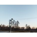 Zdjęcia użytkowników POCO X4 Pro Zdjęcia użytkowników POCO X4 Pro