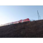 Zdjęcia użytkowników POCO X4 Pro Zdjęcia użytkowników POCO X4 Pro