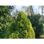 Zdjęcia użytkowników POCO X4 Pro Zdjęcia użytkowników POCO X4 Pro