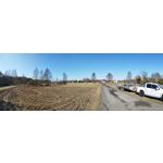 ZDJĘCIA Z TEGO TELEFONU