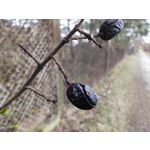 ZDJĘCIA Z TEGO TELEFONU