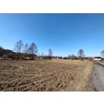 Zdjęcia użytkowników POCO X4 Pro Zdjęcia użytkowników POCO X4 Pro