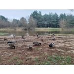 Zdjęcia użytkowników POCO X5 Pro