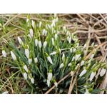 Zdjęcia użytkowników POCO F6 Pro Zdjęcia użytkowników POCO F6 Pro