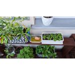 ZDJĘCIA Z TEGO TELEFONU