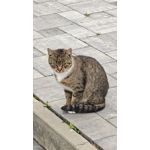 ZDJĘCIA Z TEGO TELEFONU