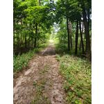 ZDJĘCIA Z TEGO TELEFONU