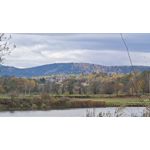 ZDJĘCIA Z TEGO TELEFONU