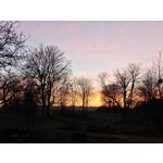 Zdjęcia użytkowników POCO F8 Ultra