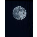 ZDJĘCIA Z TEGO TELEFONU