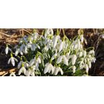 ZDJĘCIA Z TEGO TELEFONU