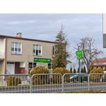 Zdjęcia użytkowników POCO F8 Ultra