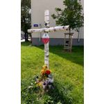 ZDJĘCIA Z TEGO TELEFONU