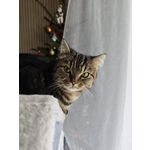 ZDJĘCIA Z TEGO TELEFONU