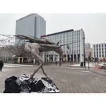 Zdjęcia użytkowników POCO X6