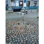 ZDJĘCIA Z TEGO TELEFONU