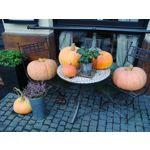 ZDJĘCIA Z TEGO TELEFONU