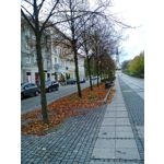 ZDJĘCIA Z TEGO TELEFONU