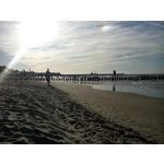 Zdjęcia użytkowników Prestigio MultiPhone 5503 DUO