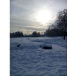 ZDJĘCIA Z TEGO TELEFONU