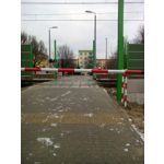 Zdjęcia użytkowników Prestigio MultiPhone 5503 DUO