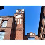 Zdjęcia użytkowników Realme 11 Pro Zdjęcia użytkowników Realme 11 Pro