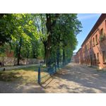 Zdjęcia użytkowników Realme 11 Pro Zdjęcia użytkowników Realme 11 Pro