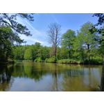 Zdjęcia użytkowników Realme 11 Pro Zdjęcia użytkowników Realme 11 Pro