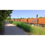 Zdjęcia użytkowników Realme 11 Pro Zdjęcia użytkowników Realme 11 Pro