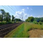 Zdjęcia użytkowników Realme 11 Pro Zdjęcia użytkowników Realme 11 Pro