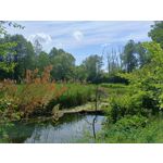 Zdjęcia użytkowników Realme 11 Pro Zdjęcia użytkowników Realme 11 Pro