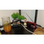 Zdjęcia użytkowników Realme 11 Pro Zdjęcia użytkowników Realme 11 Pro