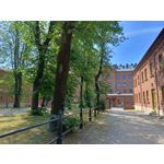 Zdjęcia użytkowników Realme 11 Pro Zdjęcia użytkowników Realme 11 Pro