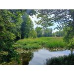 Zdjęcia użytkowników Realme 11 Pro Zdjęcia użytkowników Realme 11 Pro