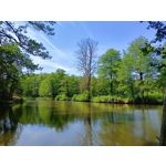 Zdjęcia użytkowników Realme 11 Pro Zdjęcia użytkowników Realme 11 Pro