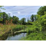 Zdjęcia użytkowników Realme 11 Pro+ Zdjęcia użytkowników Realme 11 Pro+