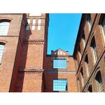 Zdjęcia użytkowników Realme 11 Pro+ Zdjęcia użytkowników Realme 11 Pro+