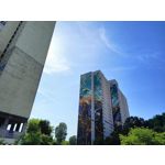 Zdjęcia użytkowników Realme 11 Pro+ Zdjęcia użytkowników Realme 11 Pro+