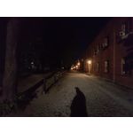 Zdjęcia użytkowników Realme 11 Pro+ Zdjęcia użytkowników Realme 11 Pro+