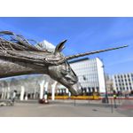 Zdjęcia użytkowników Realme 11 Pro+ Zdjęcia użytkowników Realme 11 Pro+