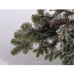 Zdjęcia użytkowników Realme 11 Pro+ Zdjęcia użytkowników Realme 11 Pro+