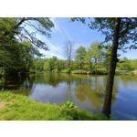 Zdjęcia użytkowników Realme 11 Pro+ Zdjęcia użytkowników Realme 11 Pro+