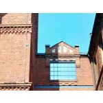 Zdjęcia użytkowników Realme 11 Pro+ Zdjęcia użytkowników Realme 11 Pro+