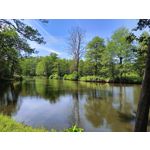 Zdjęcia użytkowników Realme 11 Pro+ Zdjęcia użytkowników Realme 11 Pro+