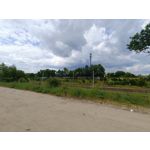 Zdjęcia użytkowników Realme 11 Pro+ Zdjęcia użytkowników Realme 11 Pro+