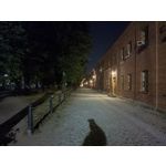 Zdjęcia użytkowników Realme 11 Pro+ Zdjęcia użytkowników Realme 11 Pro+