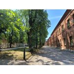 Zdjęcia użytkowników Realme 11 Pro+ Zdjęcia użytkowników Realme 11 Pro+