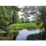 Zdjęcia użytkowników Realme 11 Pro+ Zdjęcia użytkowników Realme 11 Pro+