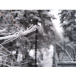 Zdjęcia użytkowników Realme 11 Pro+ Zdjęcia użytkowników Realme 11 Pro+